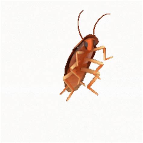 <strong>Dancing Roach</strong> | RACIST COCKROACH | image tagged in <strong>gifs</strong> | made w/ Imgflip video-to-<strong>gif</strong> maker. . Dancing roach gif